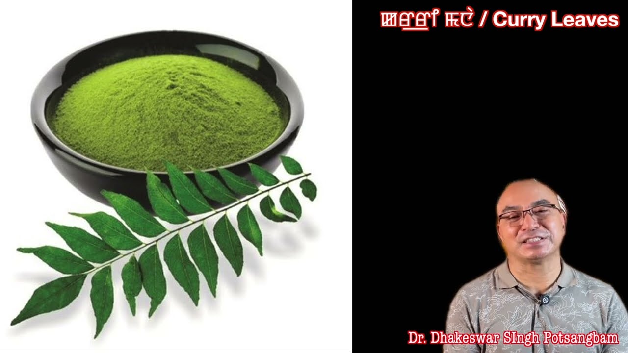 ꯀꯔ꯭ꯔꯤ ꯃꯅꯥ / Curry Leaves / Curry Patta: Nutritional & Medicinal Properties