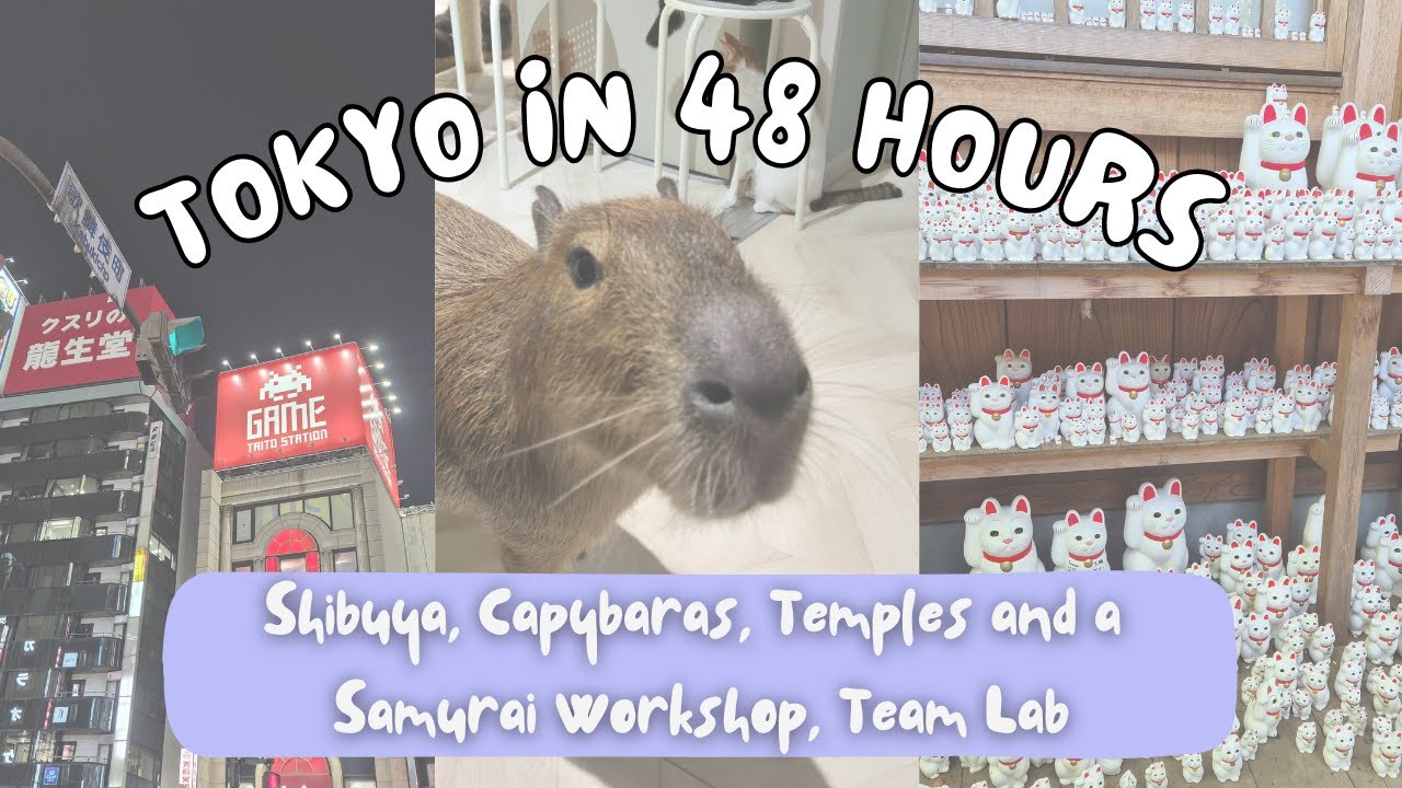 CRAMMING TOKYO'S MUST-SEES IN 48 HOURS! Senso-Ji, Shibuya, Capybaras, Team Lab, Samurai Workshop.