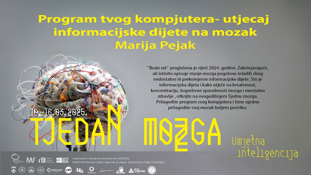 Program tvog kompjutera- utjecaj informacijske dijete na mozak