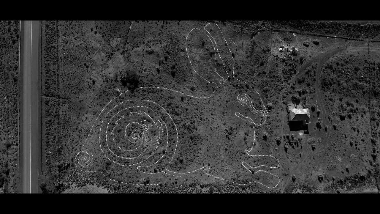 Riverine Rabbit Thinking Path