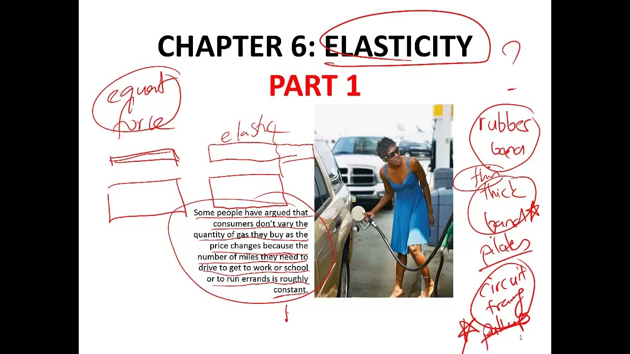 Elasticity part 1- What is elasticity in Economics?