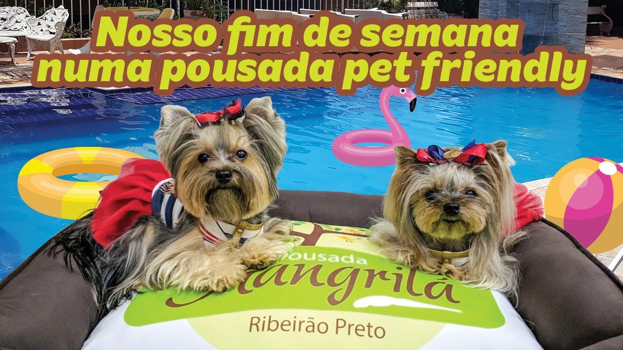 Fim de semana com as dogs em uma pousada petfriendly