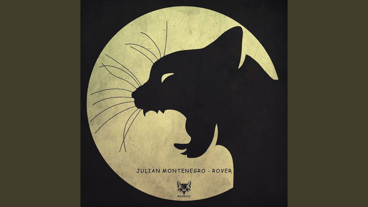 Rover (Original Mix)