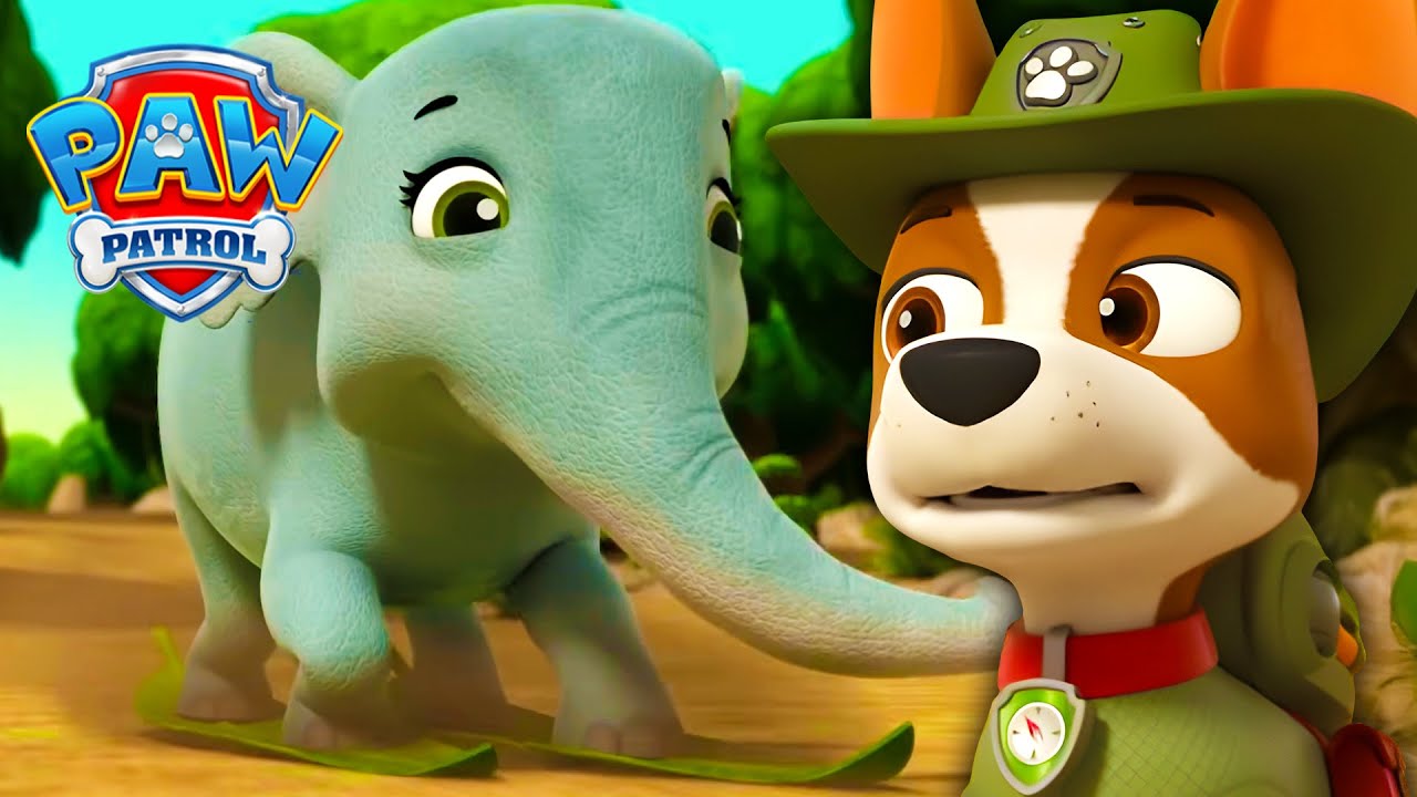 Tracker i figlarny słoń! 🐘 - Psi Patrol PAW Patrol po polsku