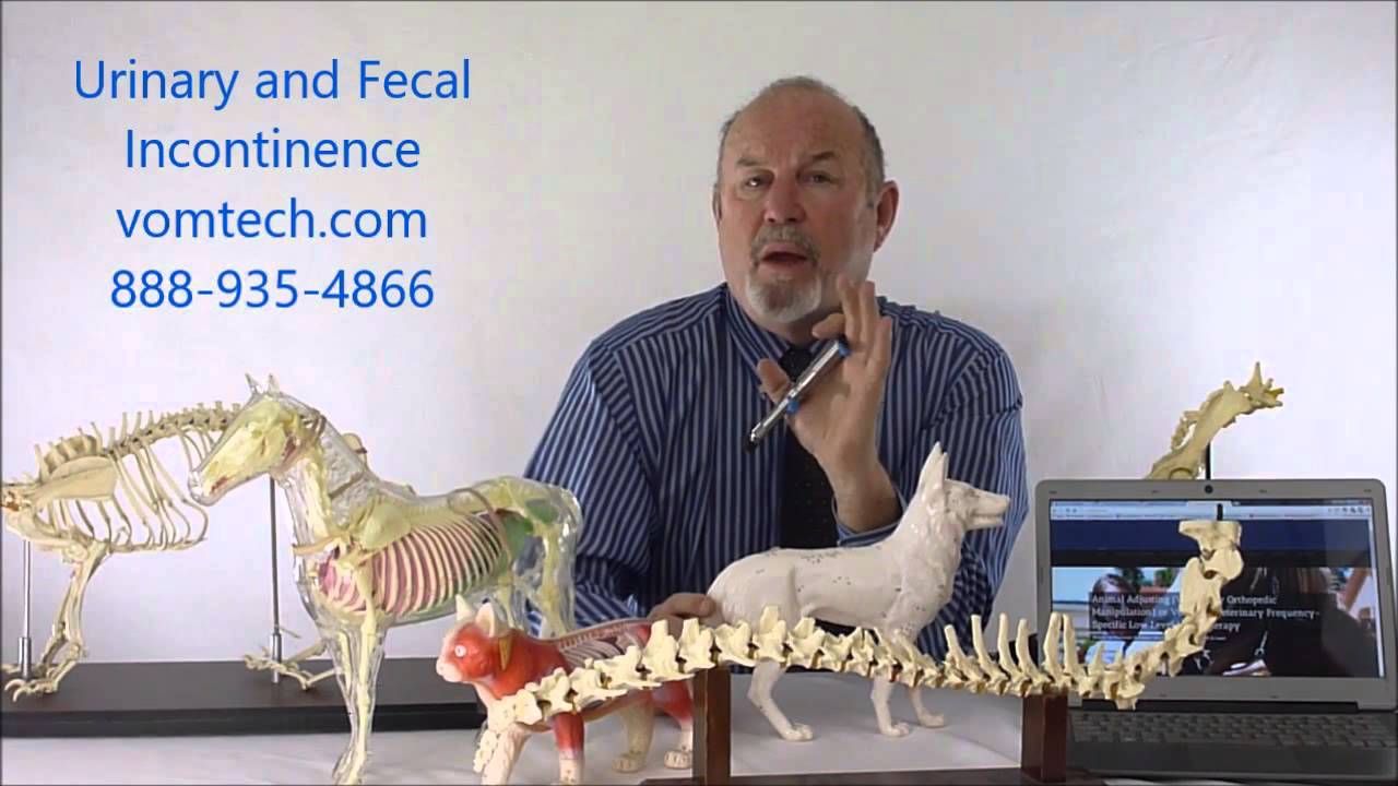 Information on Urinary and Fecal Incontinence Therapy VOM