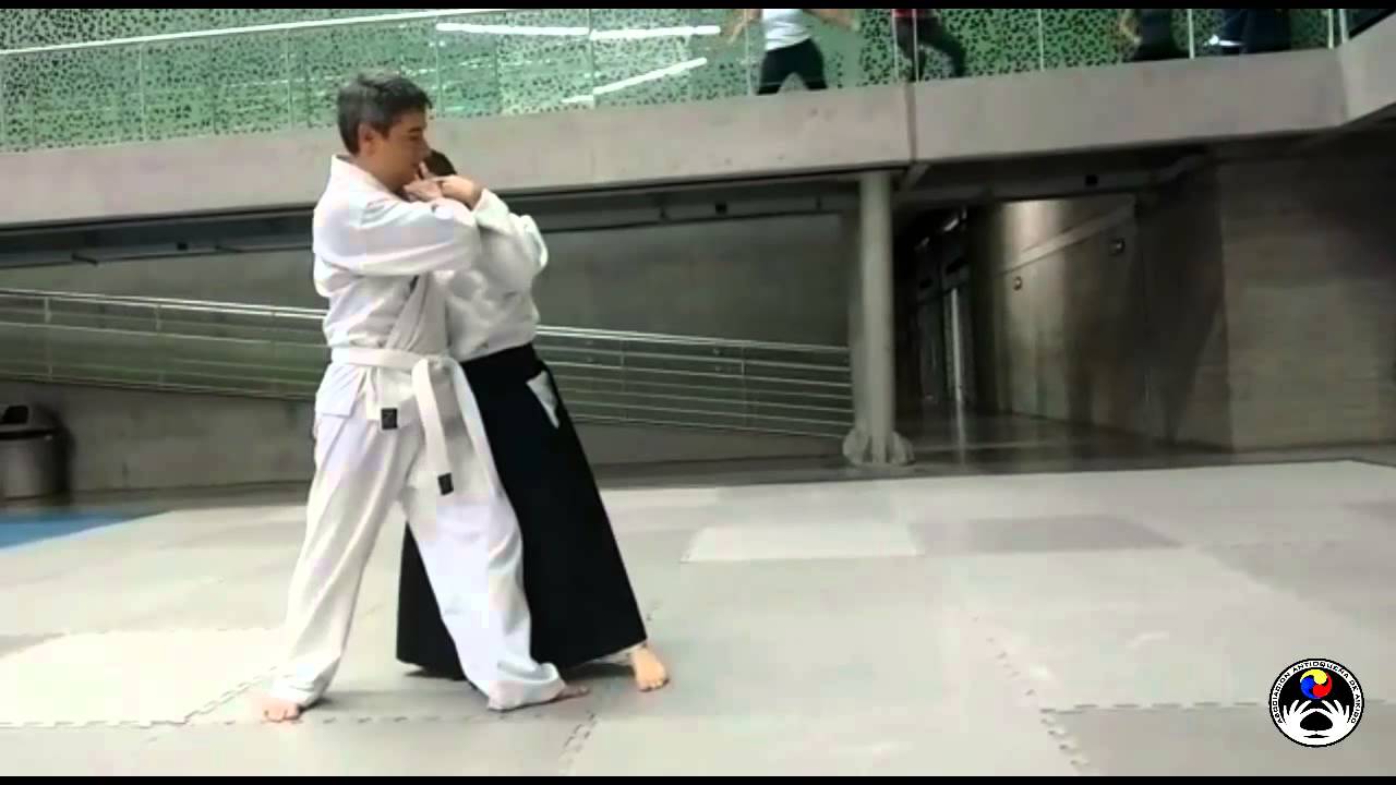 ATAQUES DE AIKIDO