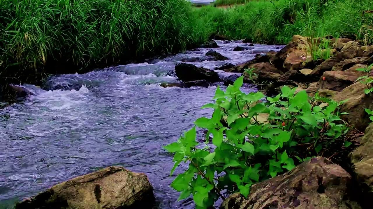 12.[4K] The sound of the river that improves concentration #studying #sleeping #relaxingwithnature