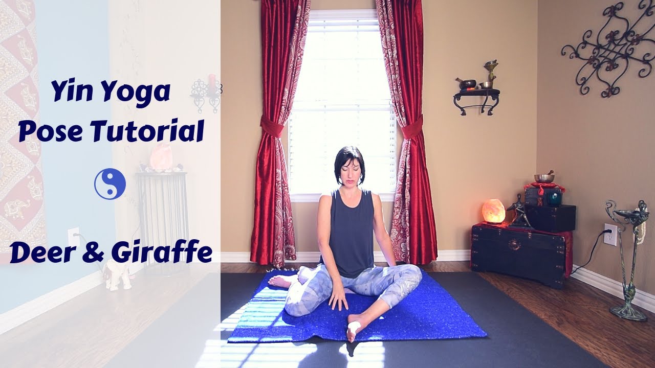 Yin Yoga Deer & Giraffe Pose Tutorial | Modifications, Variations & Alternatives