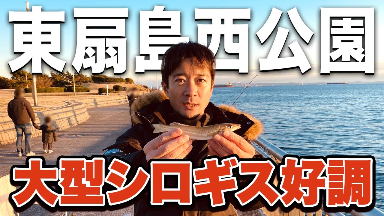 【東扇島西公園】いまキス釣りが熱い！シロギスが釣れる場所と時間帯は...
