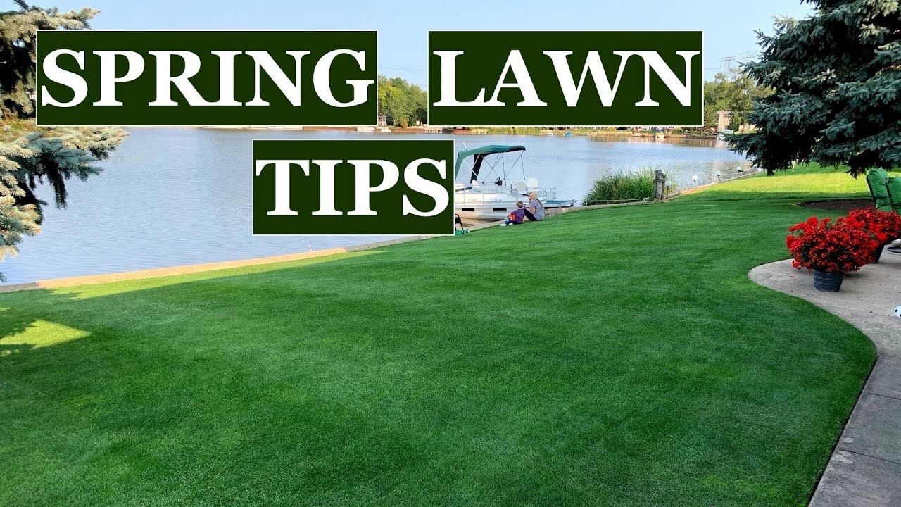 Don't make these 3 MISTAKES // Spring lawn care