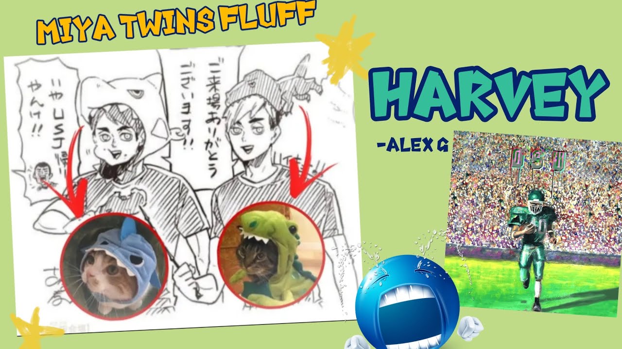Harvey - alex g | miya twins fluff | haikyuu texts | very ooc!! | ×2 speed