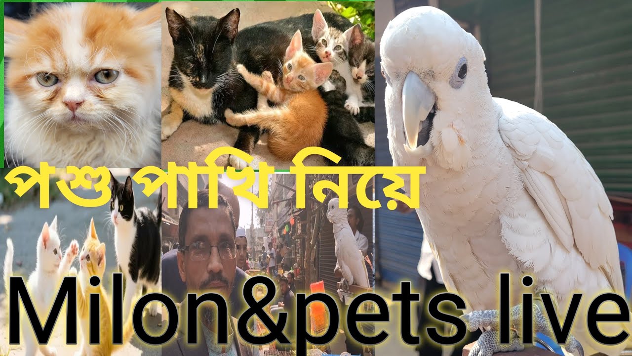 Milon & pets is live!পশু পাখি পালন সম্বন্ধে। 