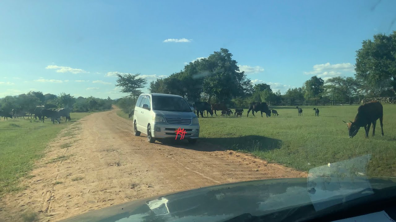 A Zimbabwean village, Zaka