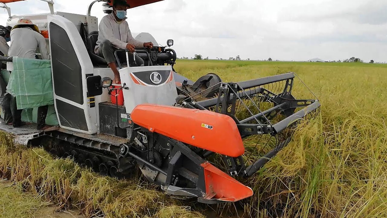 World Most Amazing Modern Agriculture Heavy Equipment | Modern Machines Harvesting #Amazing Tractors