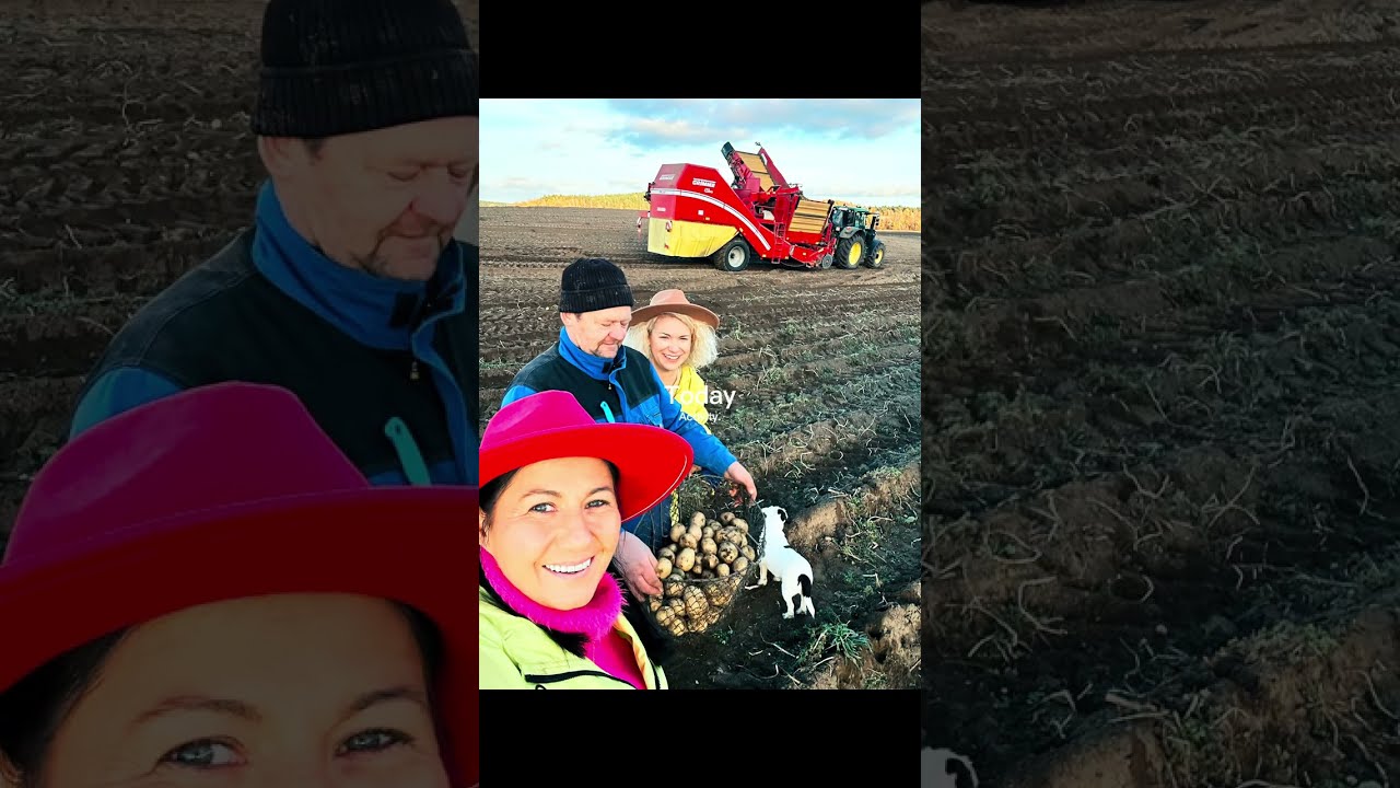 Kto spotkał się ? klimacik z pasją ! 🧡 w Szkotowie na polu 