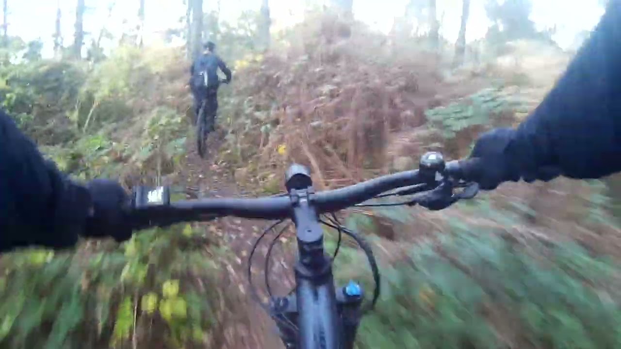 Trail MTB Brachter Wald / Trail Anfänger / E-Bike