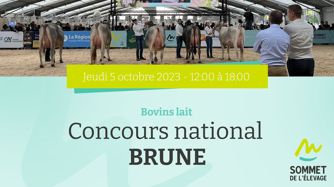 Sommet de l'élevage 2023 - Concours NATIONAL BRUNE (APM) - 05/10/2023