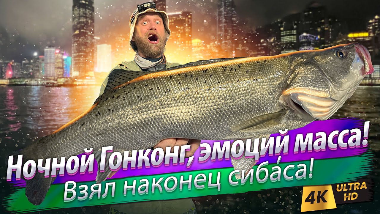 🇭🇰 Японский сибас в Гонконге. Рыбалка ночью