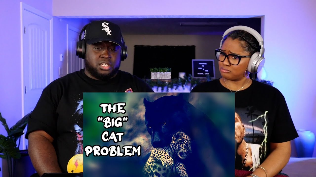Kidd and Cee Reacts To The Ridiculously Complicated World of Cats