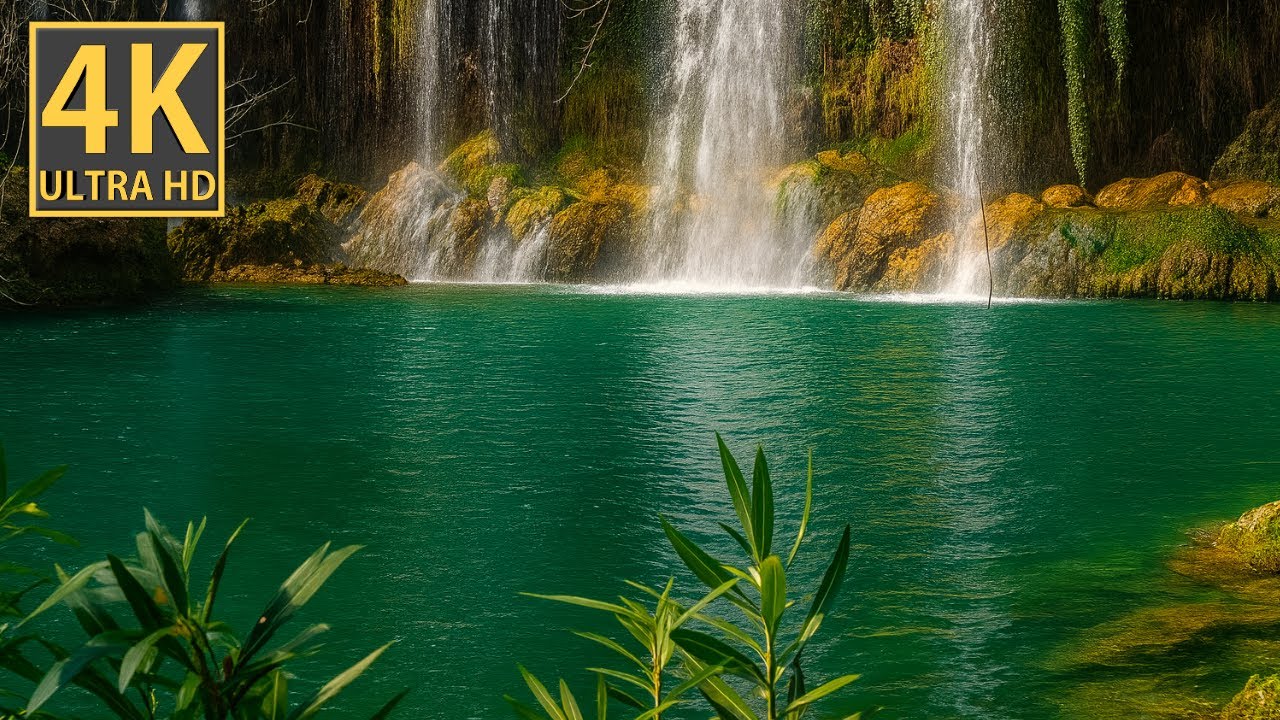 10 Hours of Waterfall Sounds | Forest Nature Ambience for Sleep