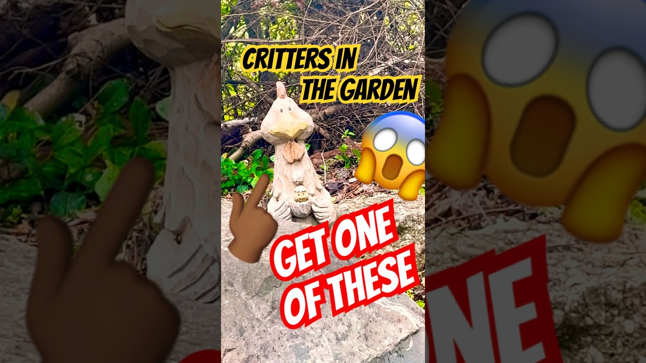 #gardenproblems #gardenprotection #plantprotection #crittercraze #protectyourpeace #gardenning #fypシ