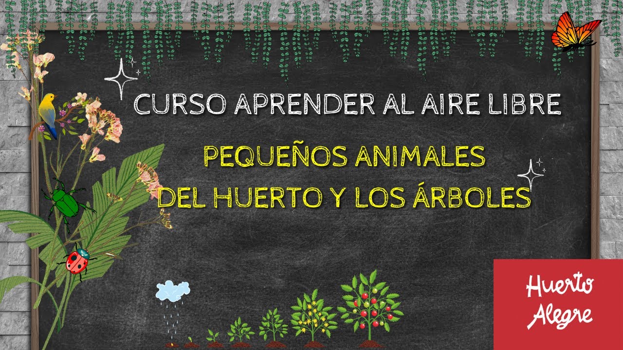 Pequeños animales del huerto y árboles. La fauna beneficiosa | Curso: Aprender al aire libre, T4