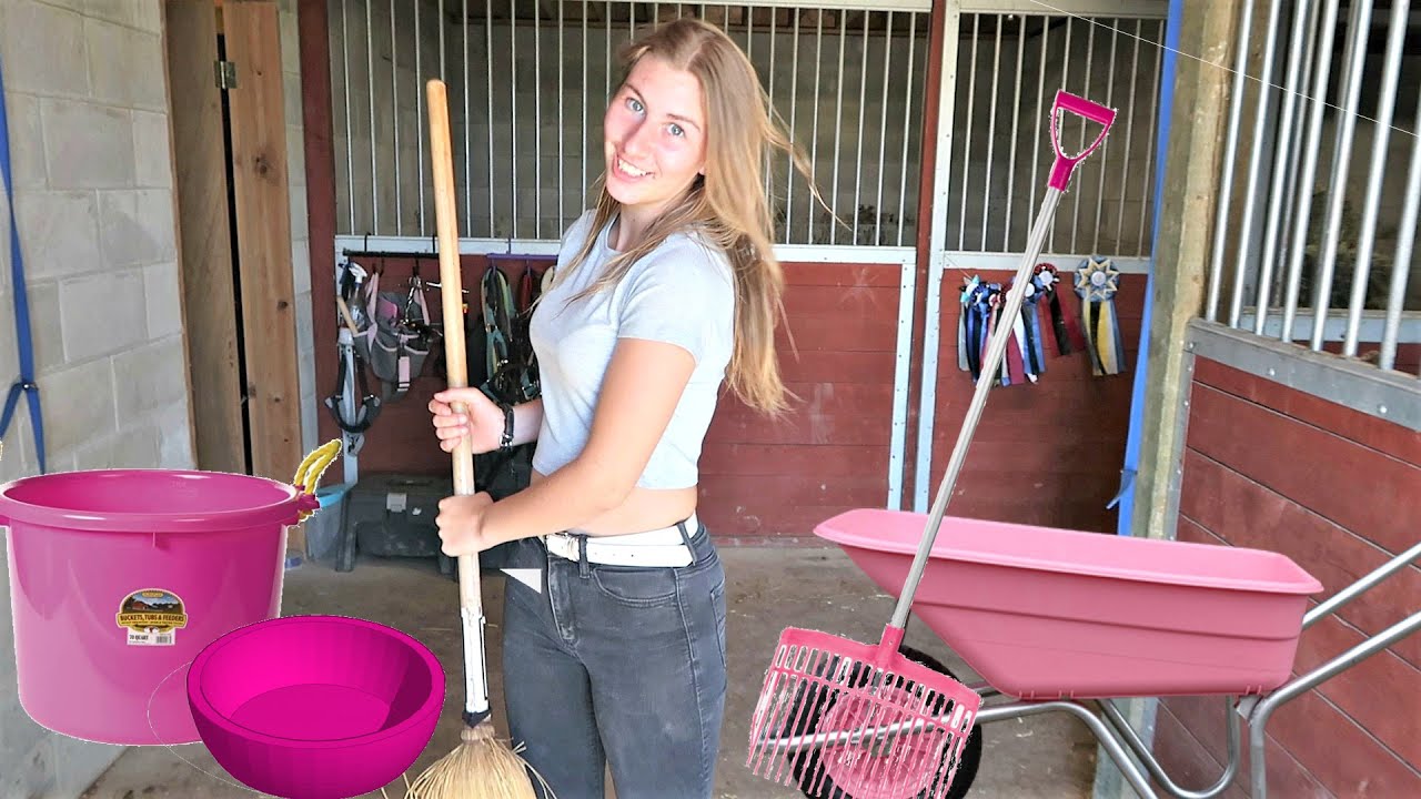WHAT YOU NEED FOR YOUR FIRST HORSE!