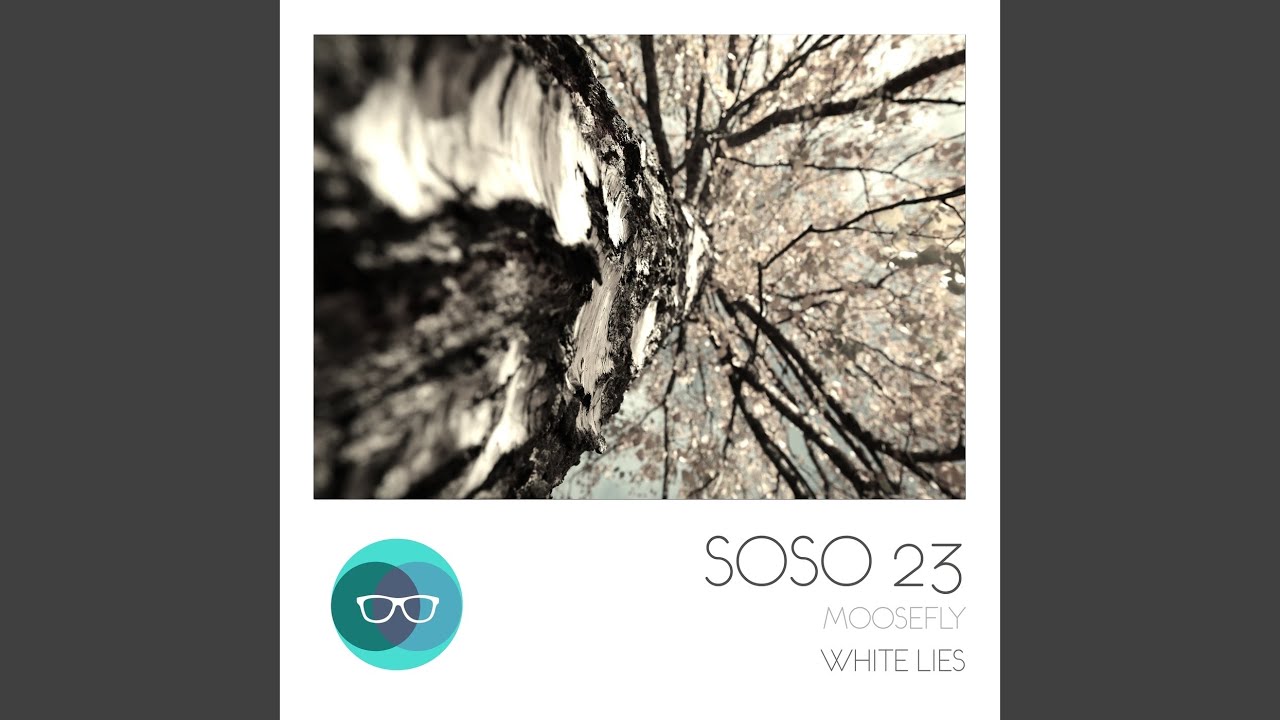 White Lies (Oliver Schories Remix)