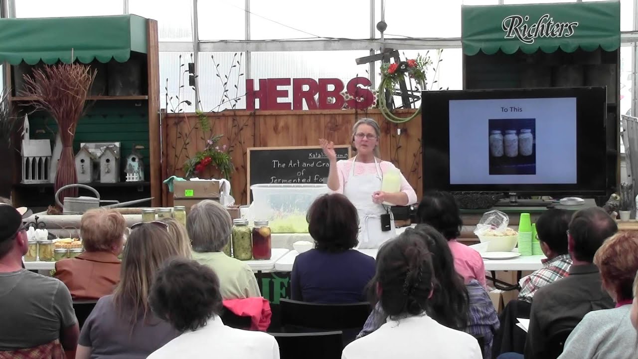 Lacto-Fermentation: The Secret of Healing