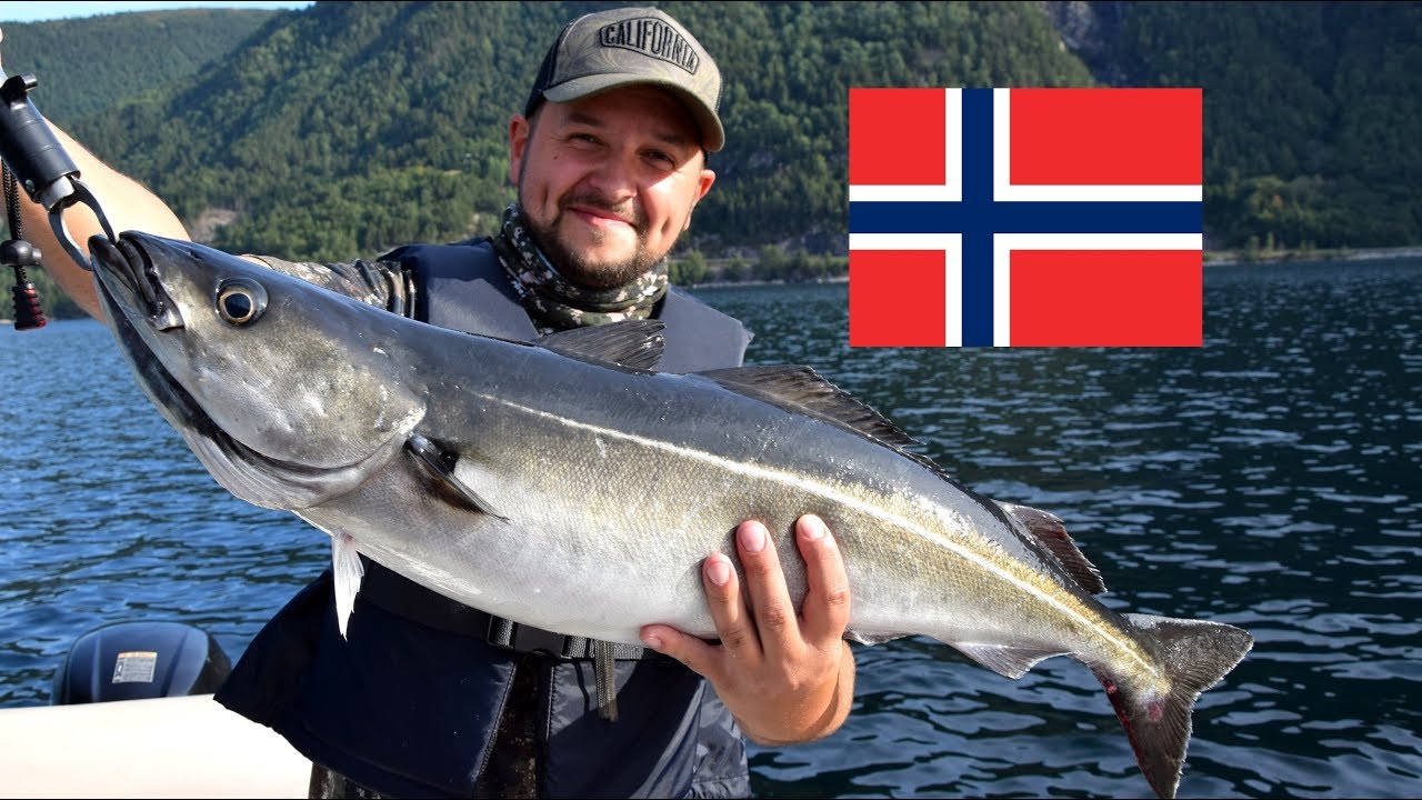 Wyprawa wędkarska do Norwegii cz. 1 [Møre og Romsdal ] Czarniaki, makrele- Fjord Fishing