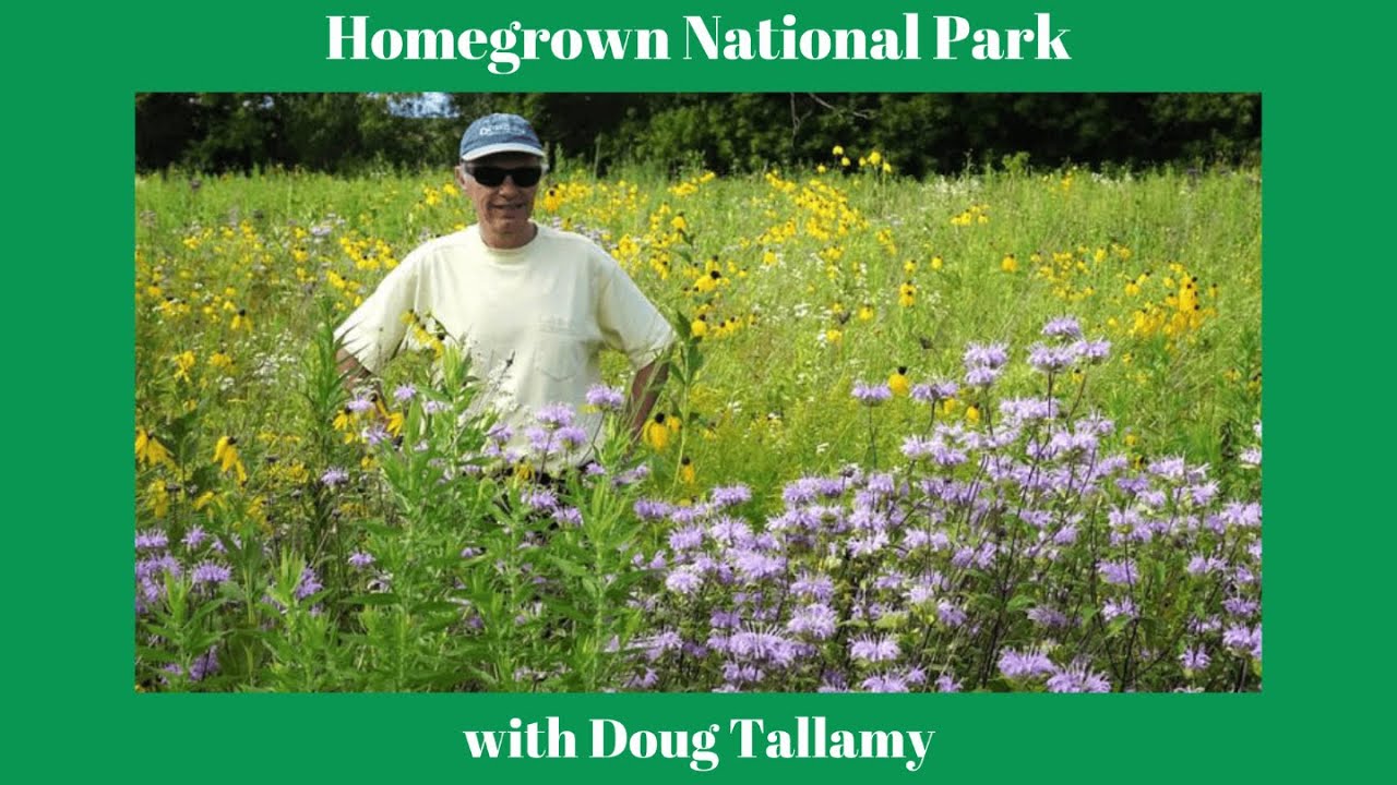 Doug Tallamy -- Homegrown National Park