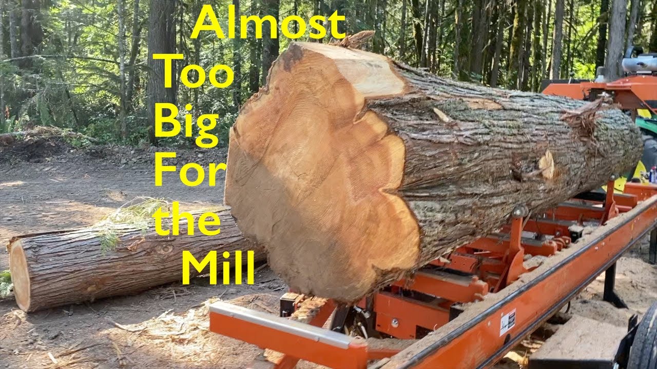 Wood-Mizer LT35 Hydraulic vs. Large Western Red Cedar