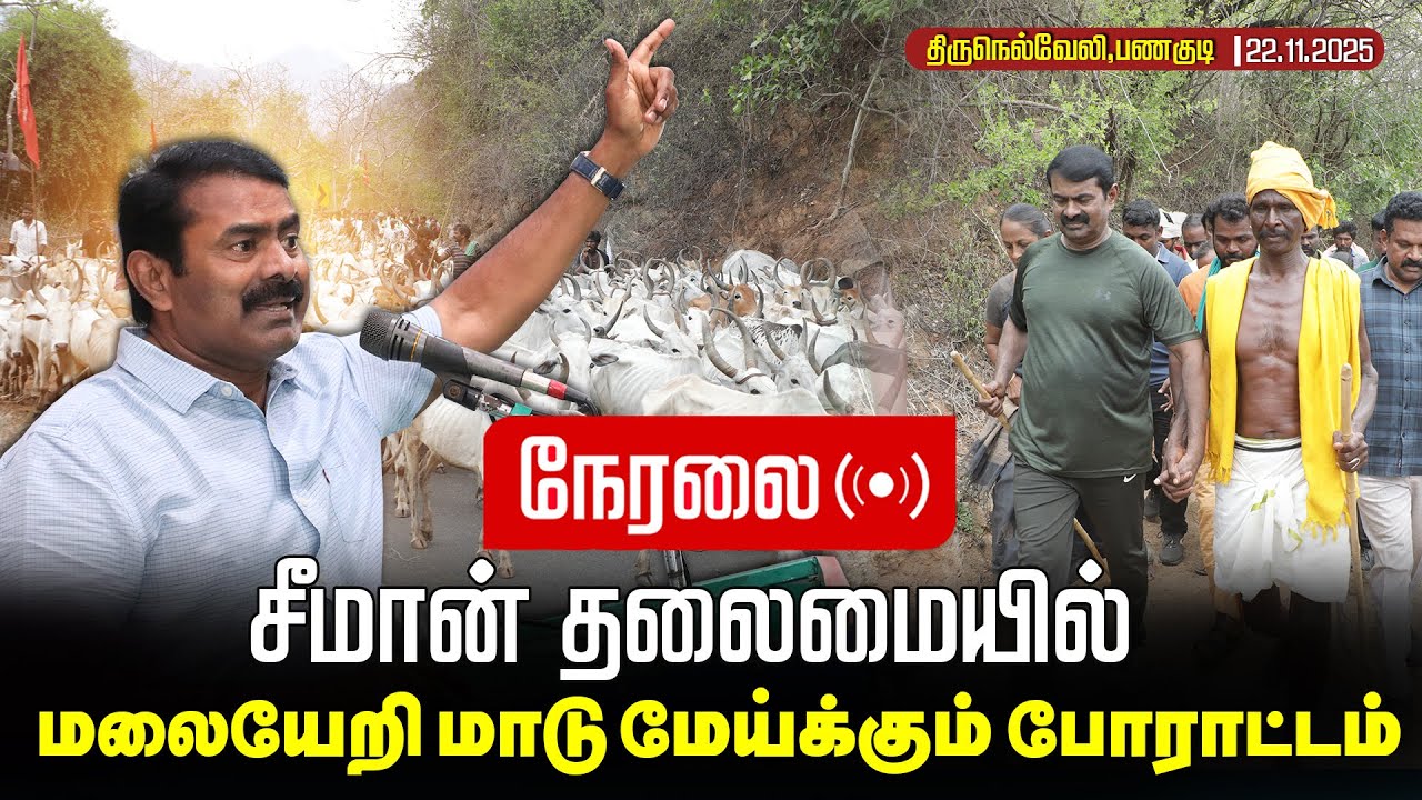 🔴நேரலை 22-11-2025 | சீமான் தலைமையில் மகேந்திர கிரி மலையில் மாடு மேய்க்கும் போராட்டம் |திருநெல்வேலி |