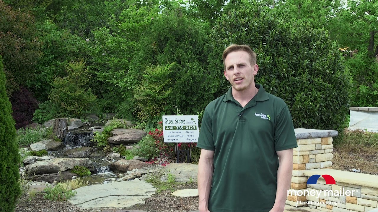 Green Scapes | Money Mailer Client Testimonials