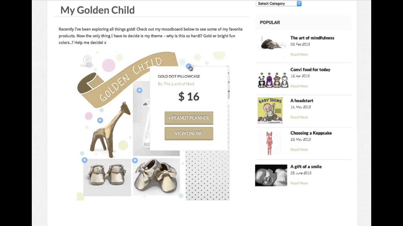Embed a Linklay on Blog