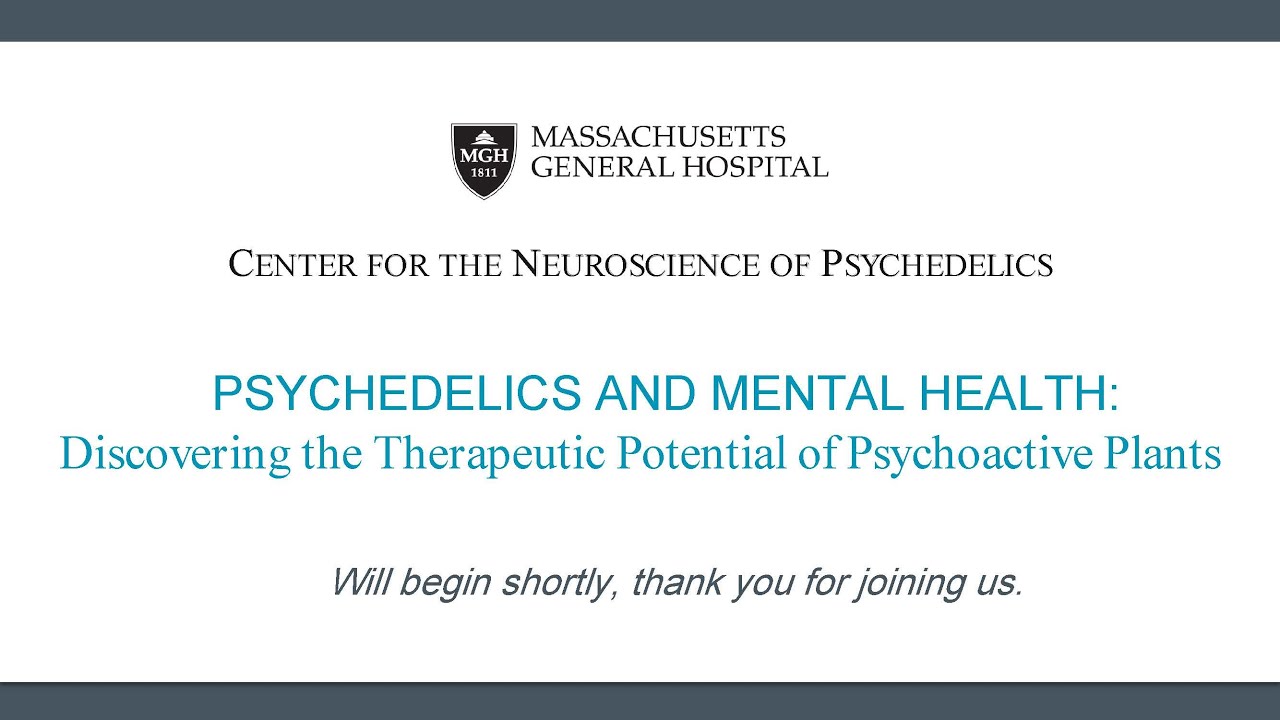 Psychedelics and Mental Health: Discovering the Therapeutic Potential of Psychoactive Plants