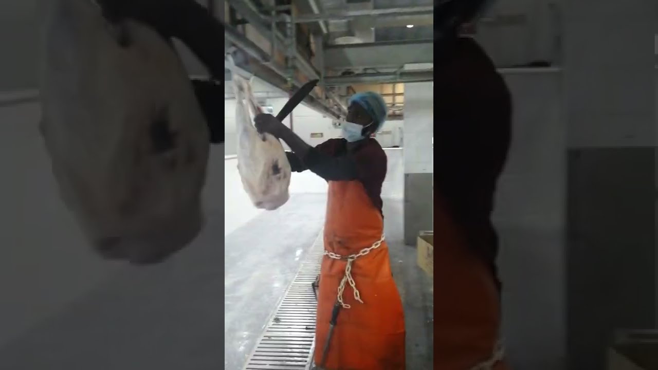 Самый быстрый мясник в разделке баранины, даст Бог #Eid_Lamb 👆👆👆
