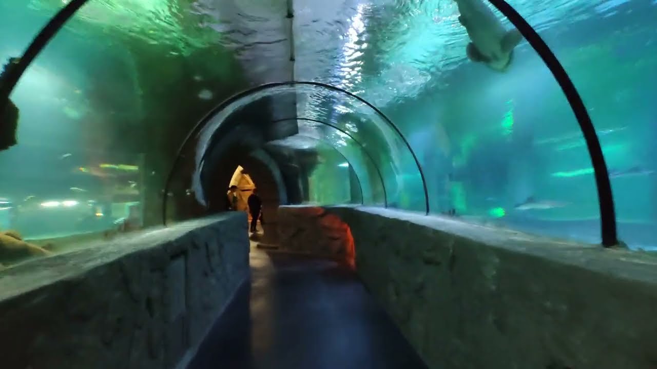 Aqua Vega Akvaryum, Ankara