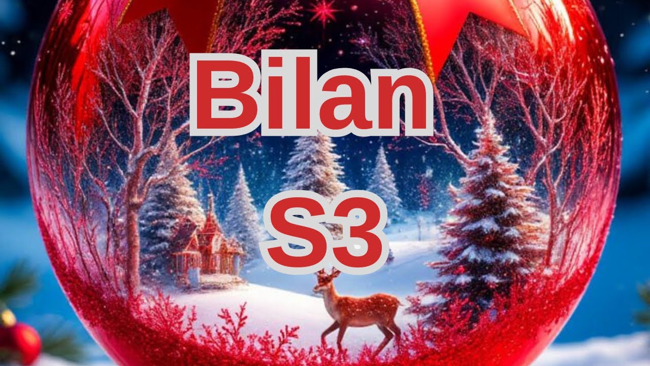 🩵Bilan S3 Remplissage S4🩵#systemedesenveloppes 