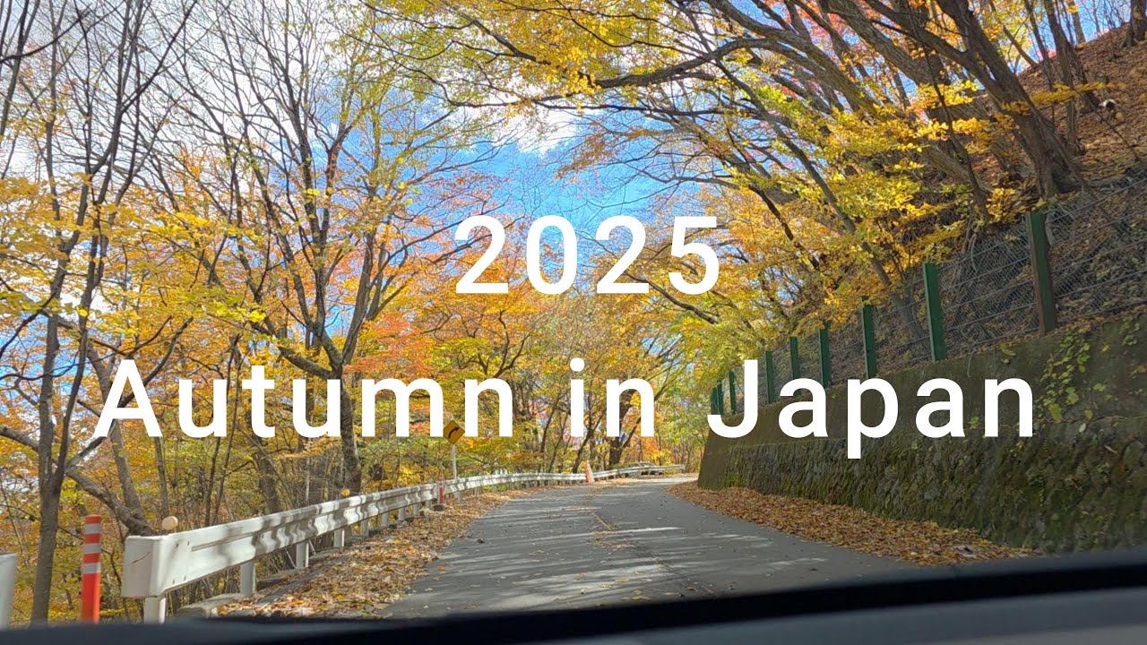 2025/11日本深秋之旅 第一部(東京～輕井澤～河口湖）