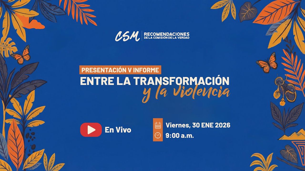 Presentación V Informe CSM 