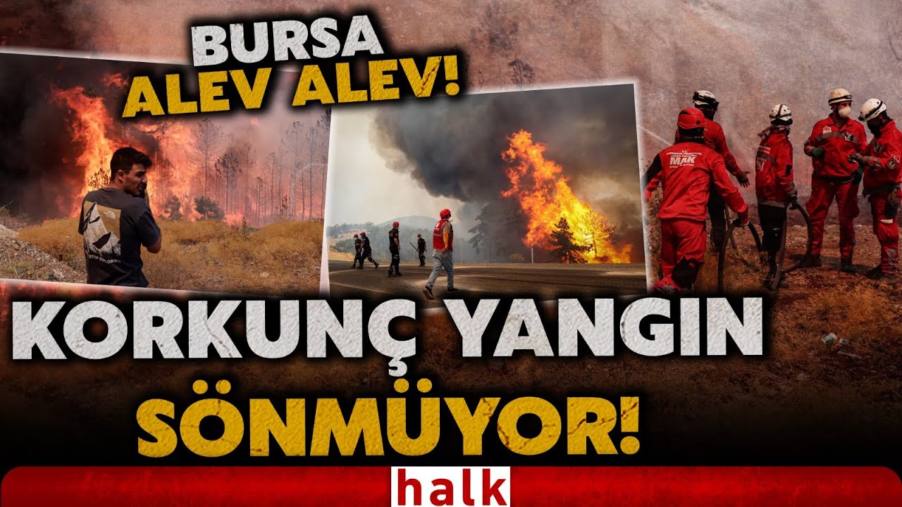 BURSA ALEV ALEV! Asfaltı eriten yangın sönmüyor! İtfaiye çalışanları yardım çağrısı yaptı!