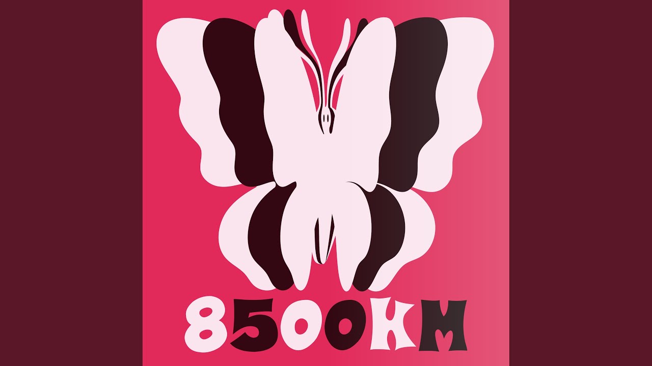 8500km