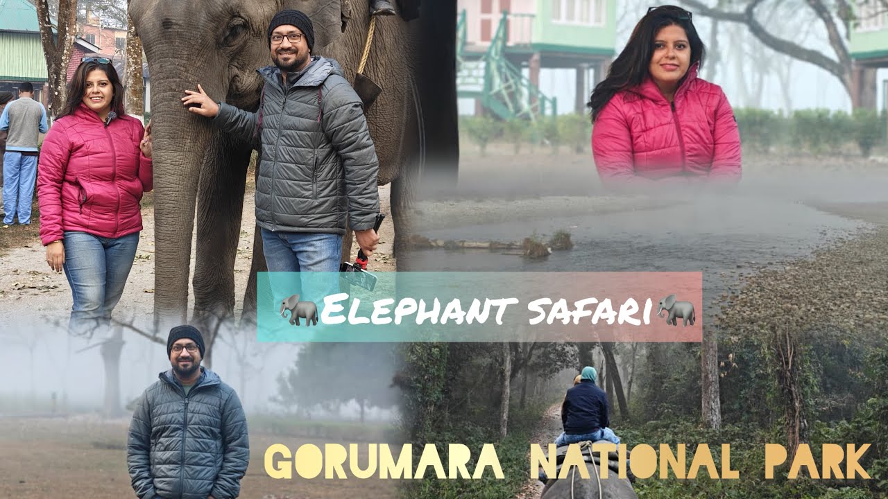 ডুয়ার্স series - Chapter 2 | Part 1 | Jungle Safari Adventure