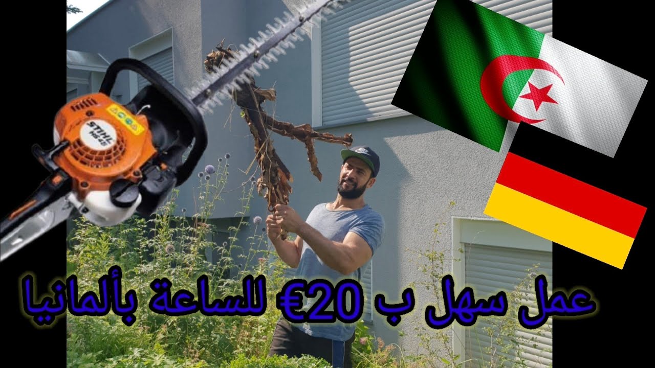 شاهد كيف يعمل عمال الحديقة و كم يتقاضى للساعة في ألمانيا مع أخوكم صالح 🤑🤑🔥🔥