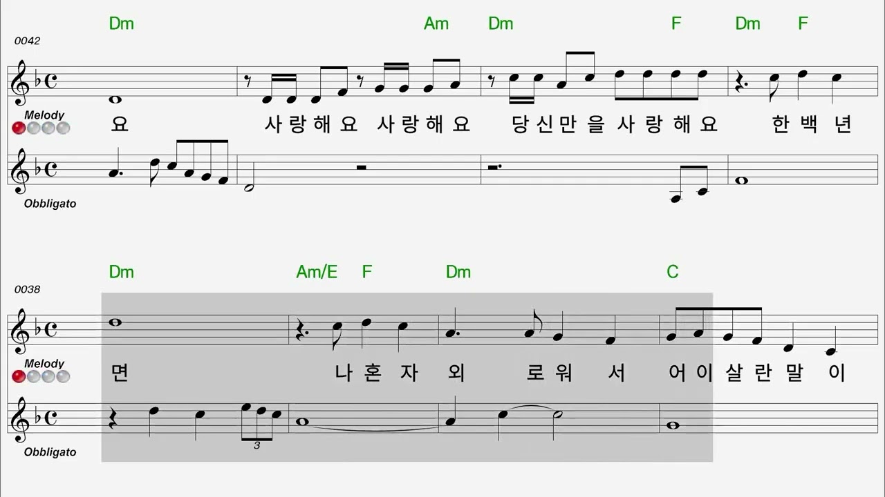 한 백년  Flute