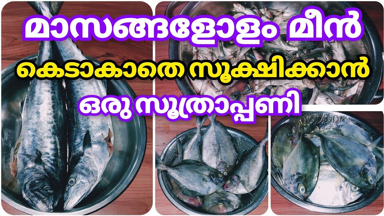 മീൻ മാസങ്ങളോളം ഫ്രെഷായി സൂക്ഷിക്കാം. How to Store Fish in Freezer