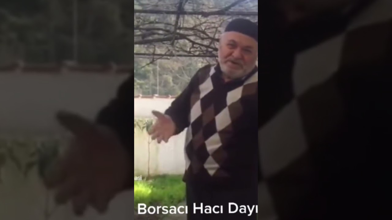 BOrsaci Dede , endeks yorumu