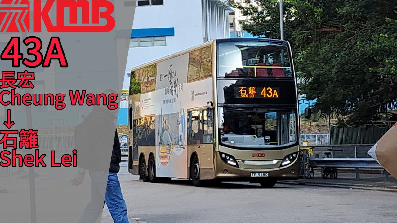 【秒變校巴🚌】九巴 43A 長宏→石籬