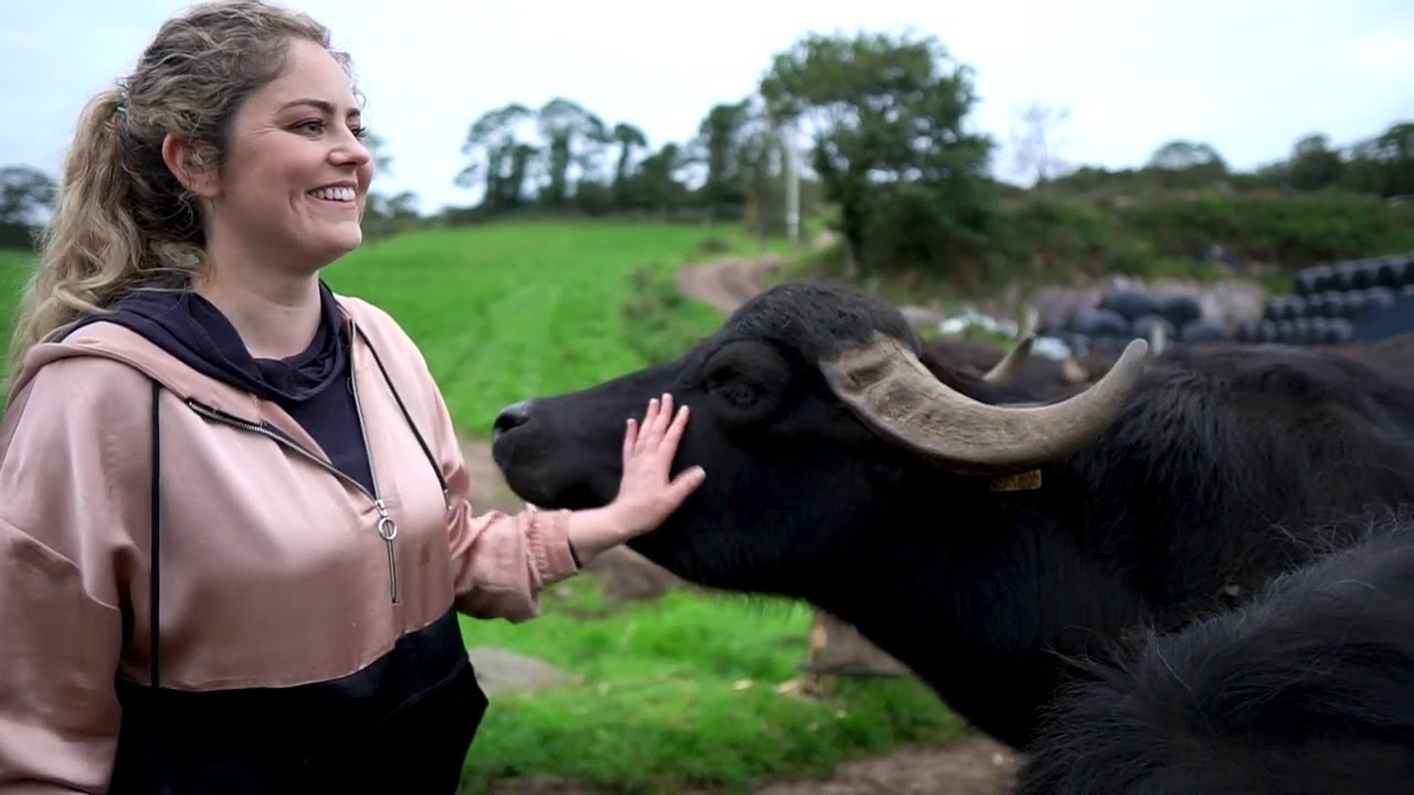 Cholesterolow meets Macroom Buffalo Farm